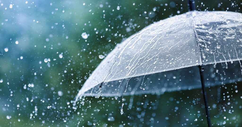 Read more about the article 9月7日に豪雨予想　～診療は通常行います。電話が混み合いそうです。